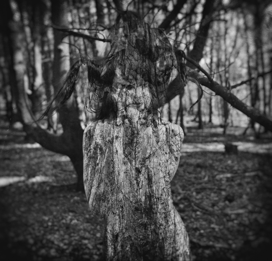 sandevi - Meduza . ...leśna  FS. Zdjęcie 223175