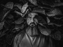 portret z katalpą