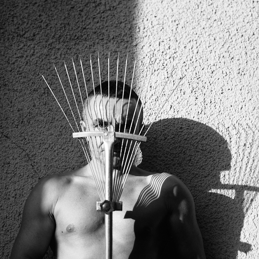 leo - ogrodowy grabieżca . Psix/Biometar/Tmax100. Zdjęcie 253234