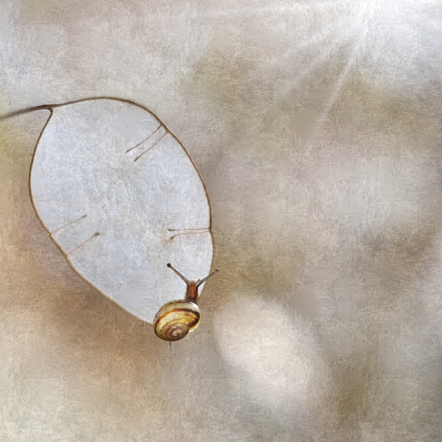 izis - Porcelain Emptiness. PE. Zdjęcie 131493