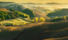 Fields...