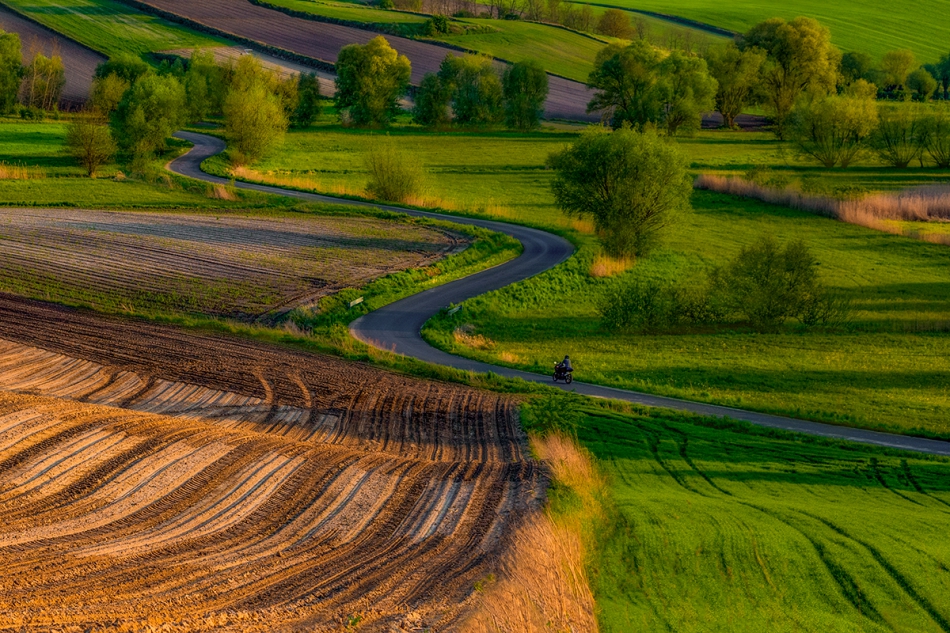 akrims - . . Zdjęcie 266754