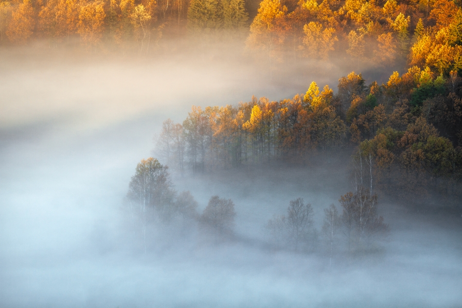 bonnieandclyde - An Autumns Tale.... . Zdjęcie 323845