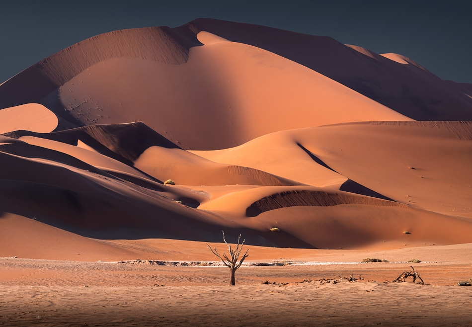 karol_nienartowicz - Wydmy Namib. Sossusvlei, Namibia. Zdjęcie 326325
