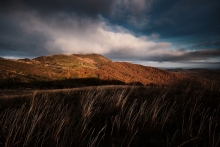Bieszczady