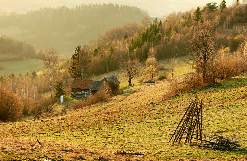 jawa07 - polna układanka. . Zdjęcie 56853