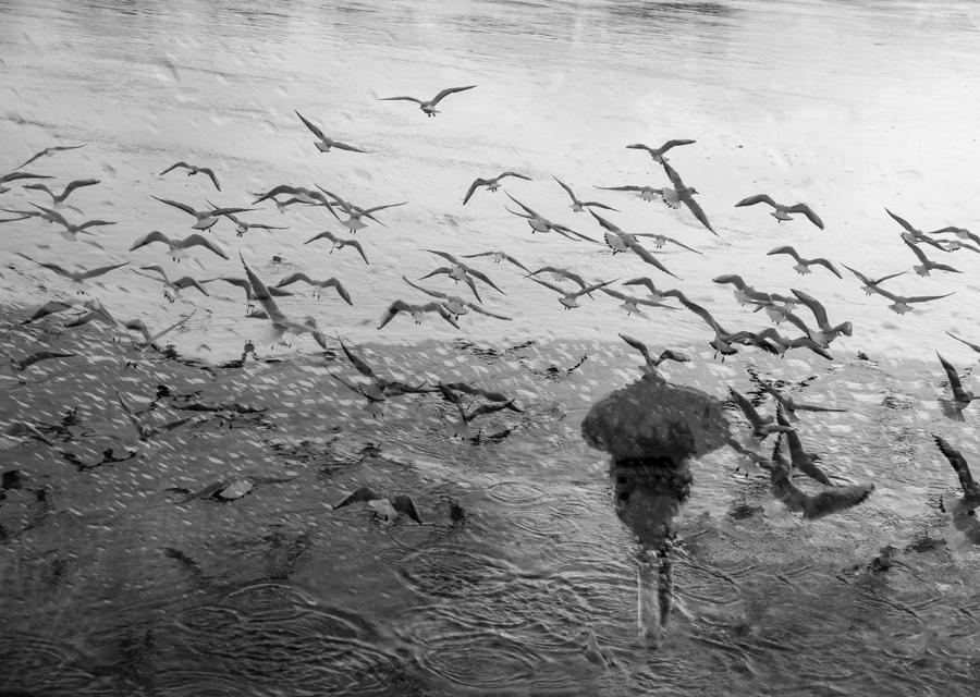 akrims - #052. . Zdjęcie 145712