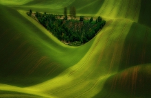 impressions of the field