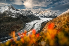 Lodowiec Aletsch