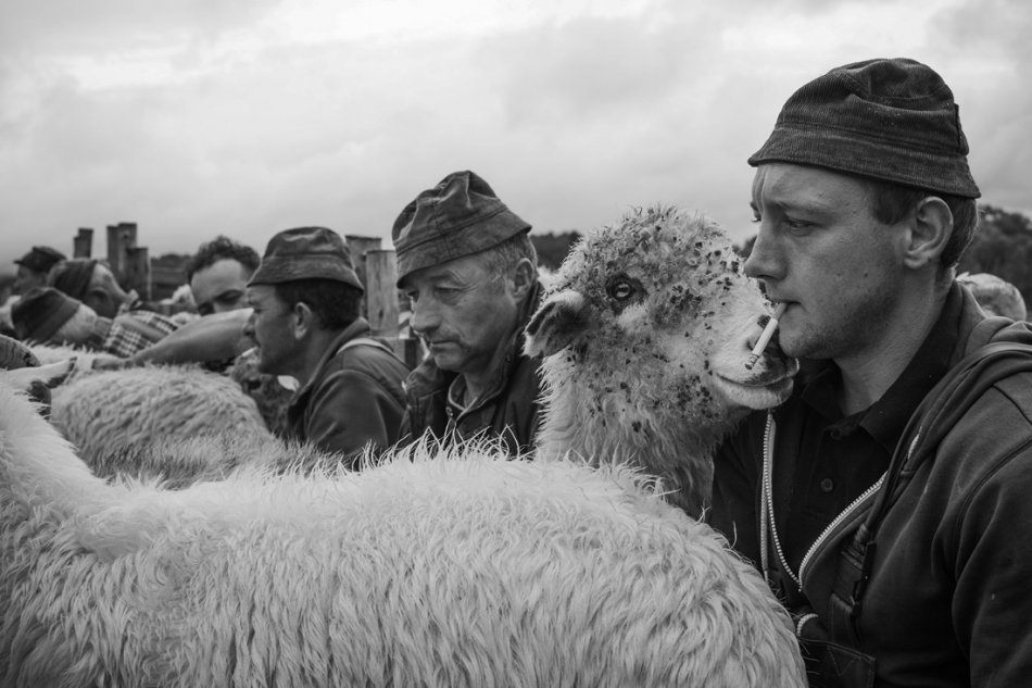 yamayka - Pasterze - Karpaty . . Zdjęcie 322756