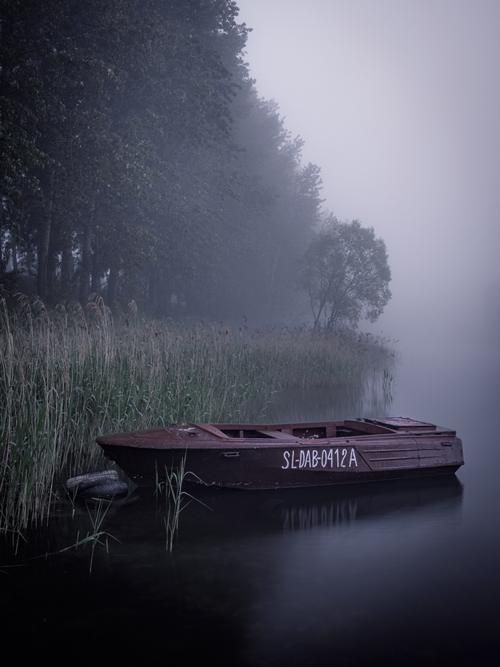 grzegorz - Samotność. . Zdjęcie 264250