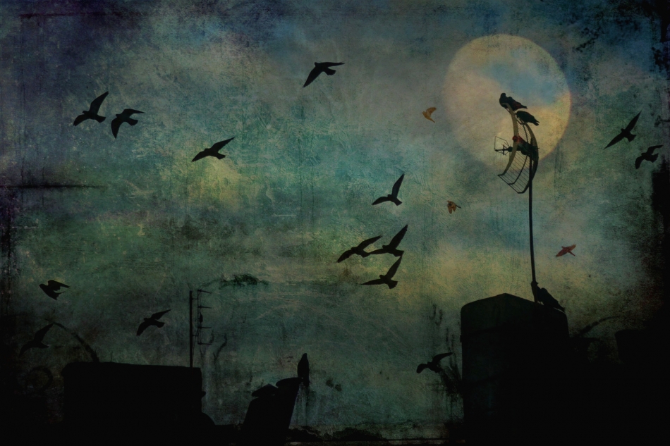 Snił mi sie sen ..Sen wietrzny.... . Zdjęcie 336874