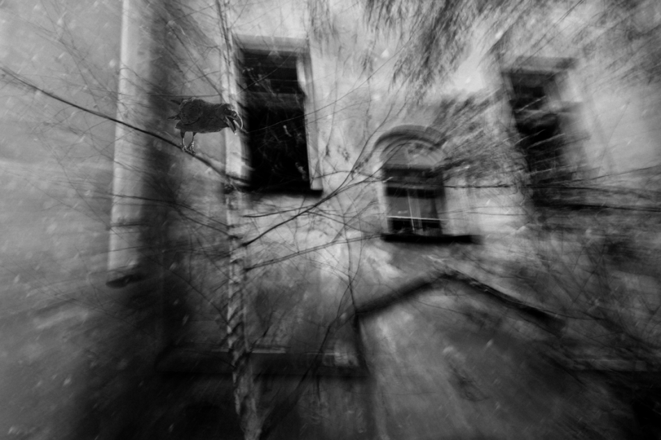 szarada - . . Zdjęcie 206574