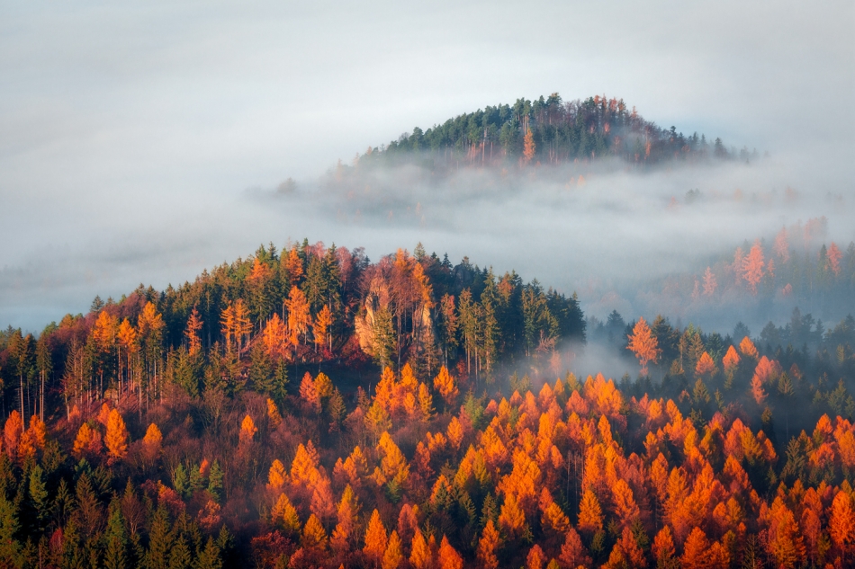 bonnieandclyde - Misty Island.... . Zdjęcie 320145