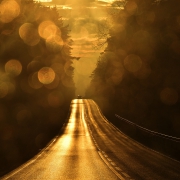 Through the windshield