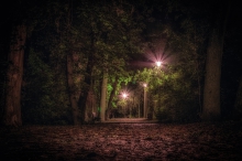 park nocą
