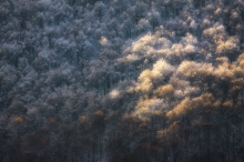 Bieszczady 2011