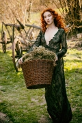 Zielarka