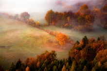 An Autumn's Tale...