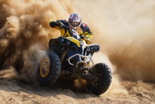 265-ATV