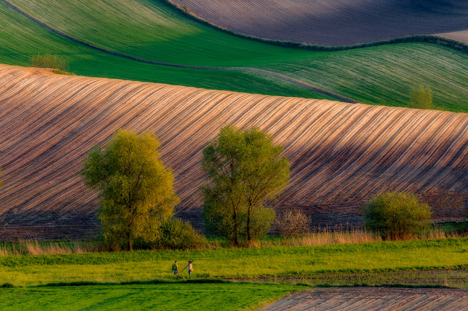 akrims - . . Zdjęcie 266660