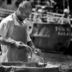 łowię poławiam ryby łapię