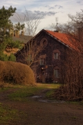 Kolonia Alfred