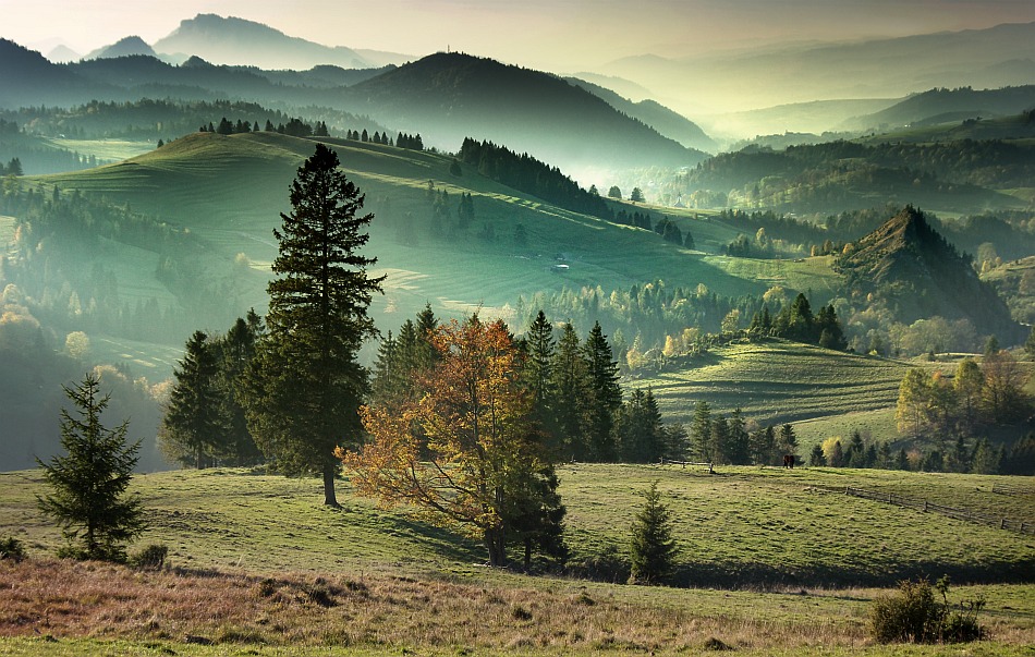 jawa07 - jesienne wspomnienie.... ...Małe Pieniny. Zdjęcie 16717