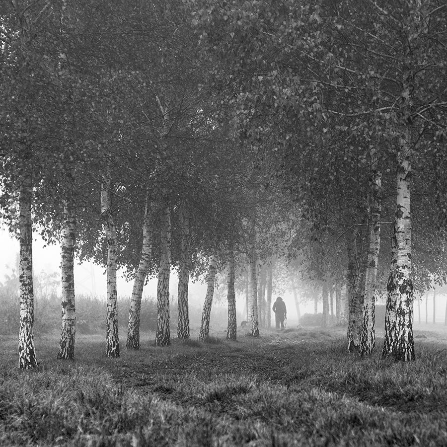 akrims - . . Zdjęcie 205820