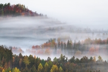The Land of Morning Mis...
