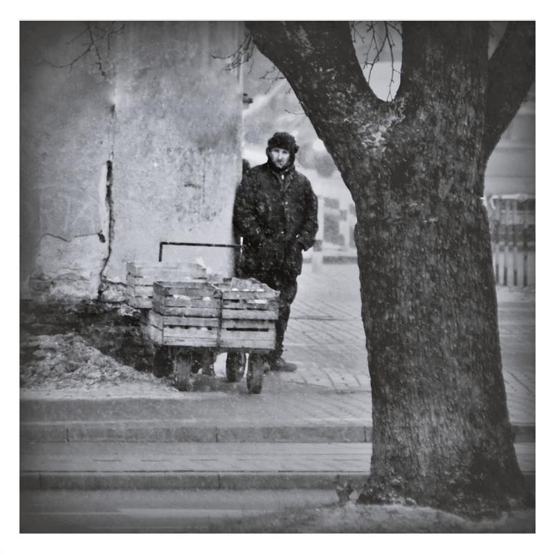 significa - .. . Zdjęcie 86050