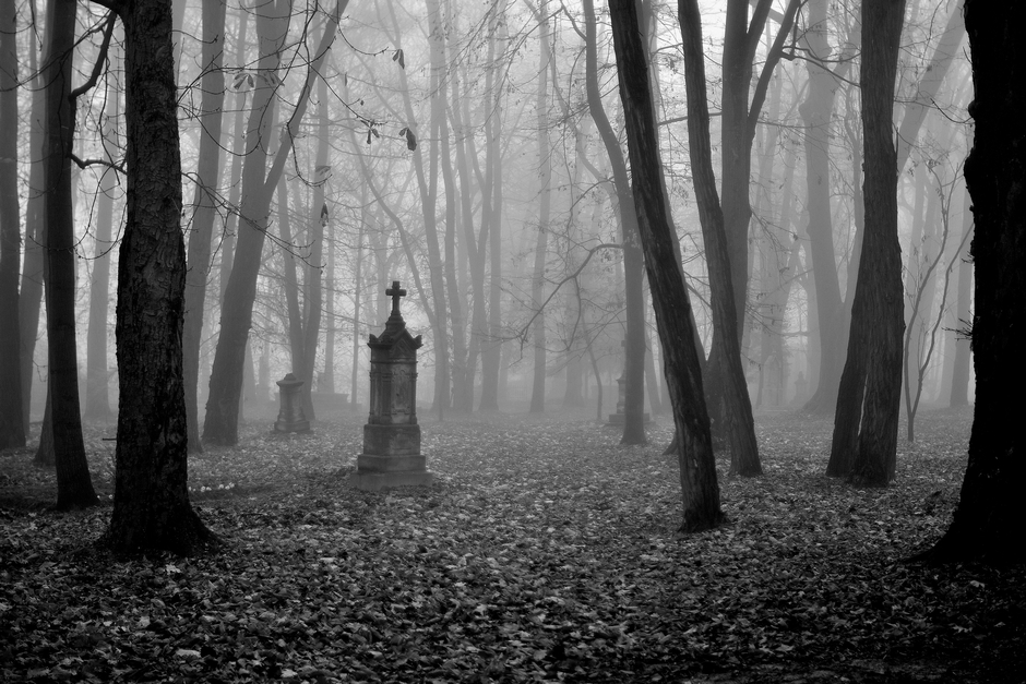 by pamięć trwała. . Zdjęcie 106497