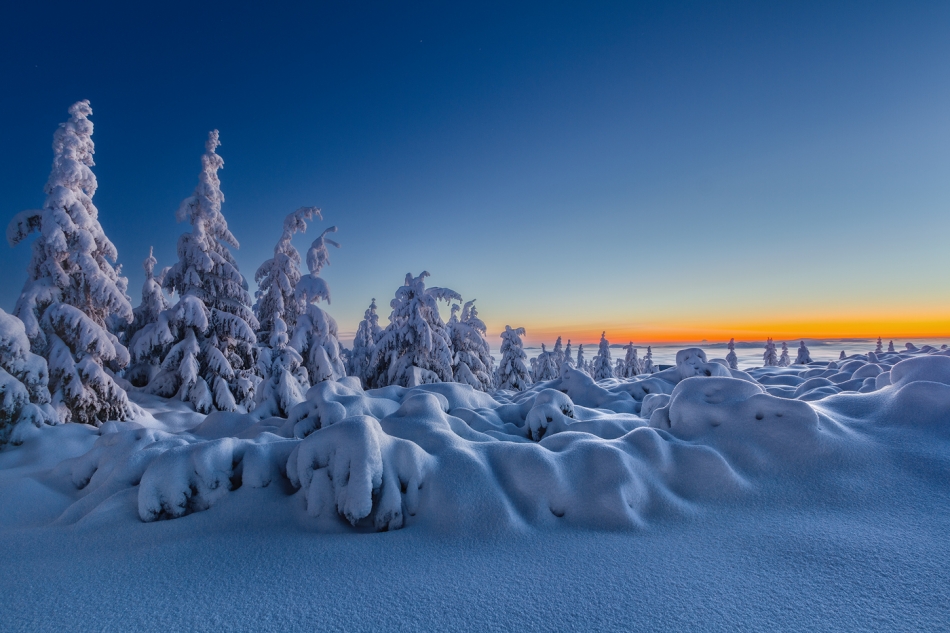 bonnieandclyde - A Winters Tale...... . Zdjęcie 329622