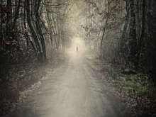 Forest of Illusion...