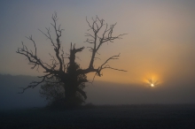Strażnik słońca.