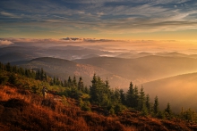Karkonosze