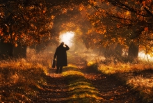 Good Bye Autumn! 