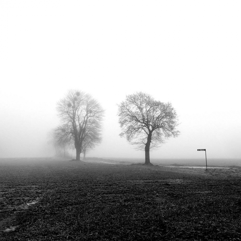 kajar - . . Zdjęcie 327801