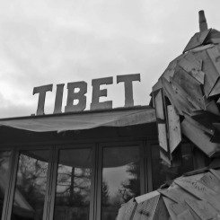 Tibet Alive