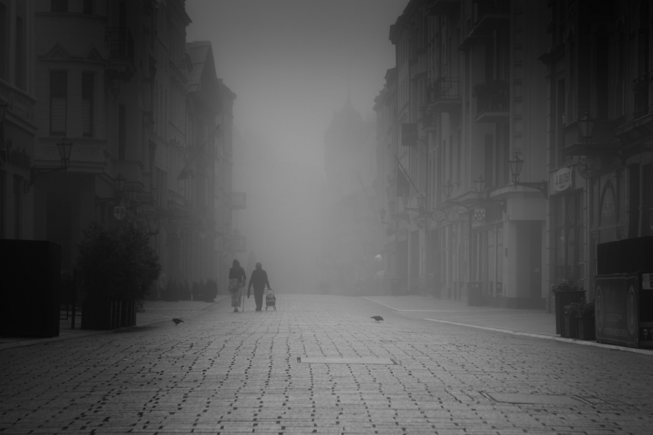 janish - . . Zdjęcie 323022