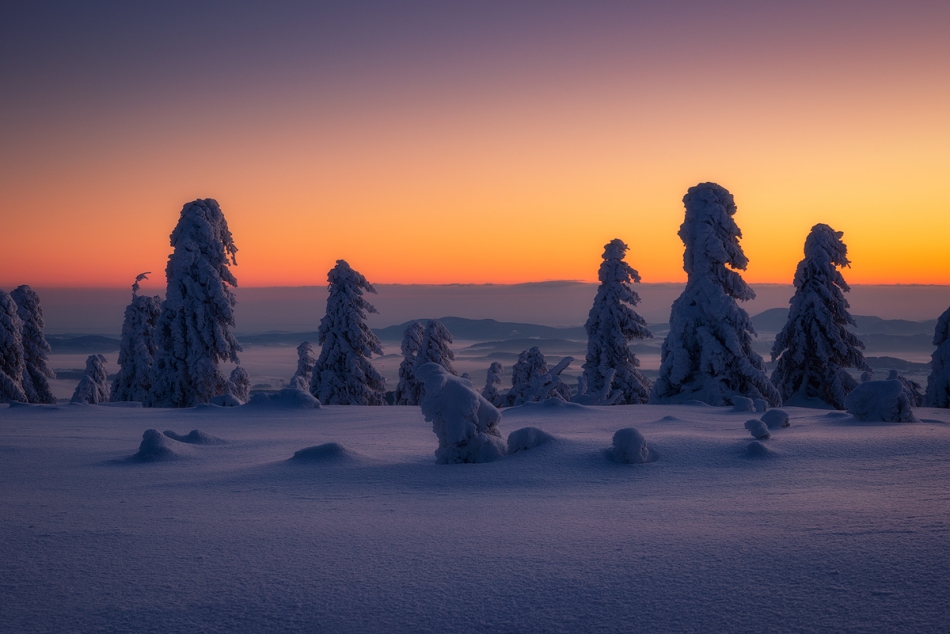 hoobie - Daybreak. . Zdjęcie 239226