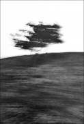 Pośpiech 6.50