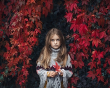Ivy