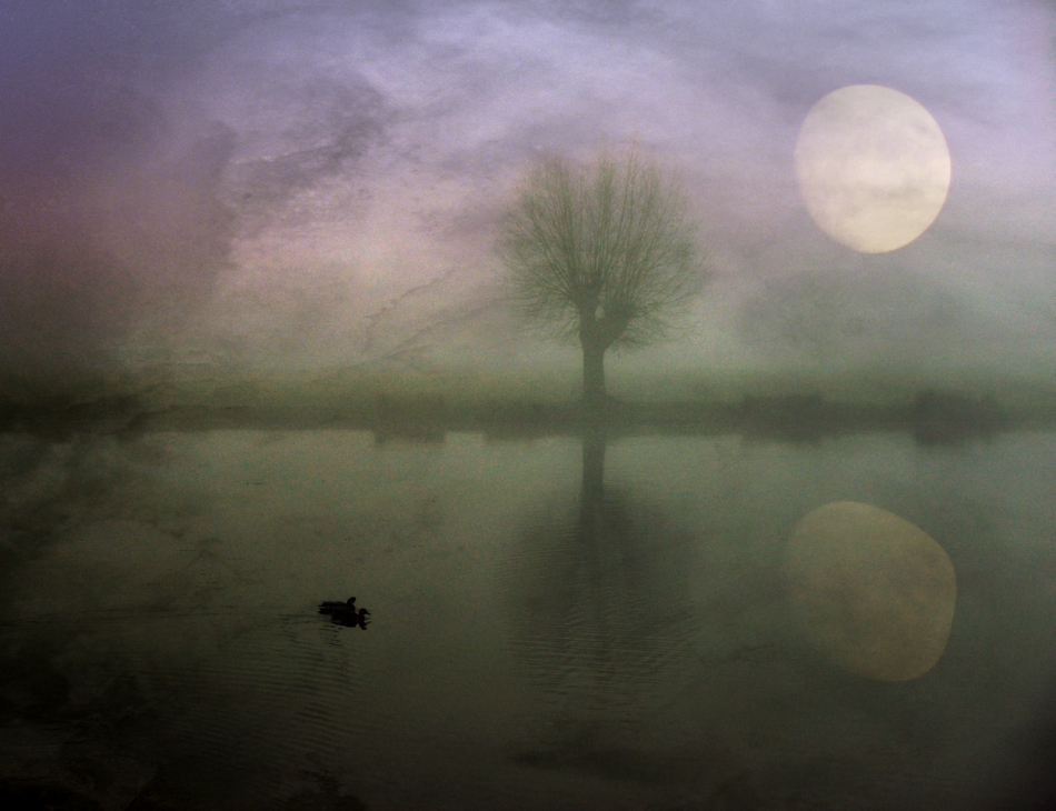robin74r - Some Mornings.... . Zdjęcie 314825