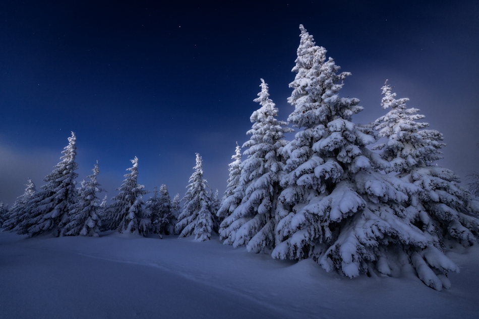 bonnieandclyde - Song For a Winter.... . Zdjęcie 329480