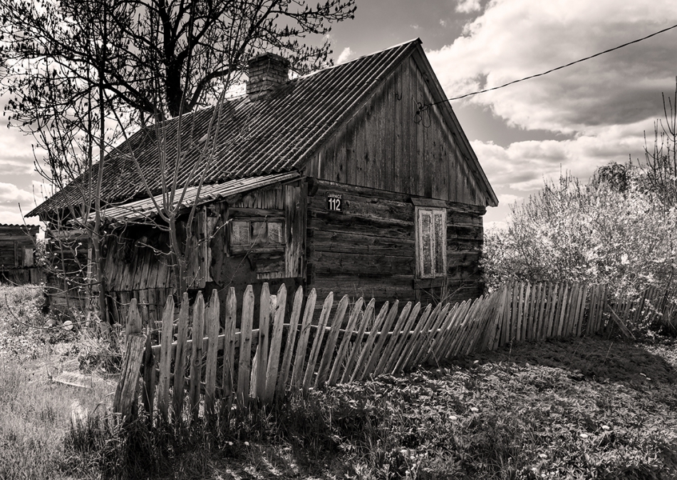 . . Zdjęcie 314651