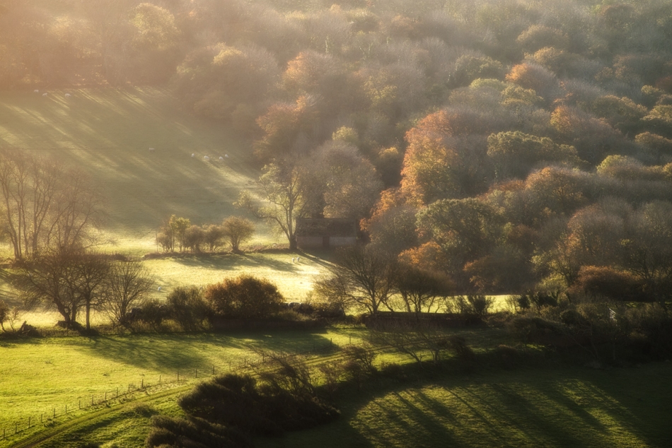 późna jesień w dorset. . Zdjęcie 74485