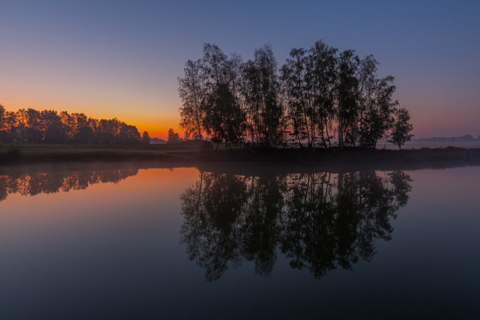 radson_foto - . . Zdjęcie 327159