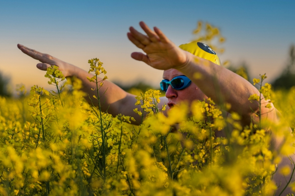 rzepakowałem. . Zdjęcie 336657