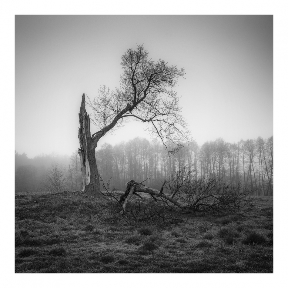 robert_cz - . . Zdjęcie 313890